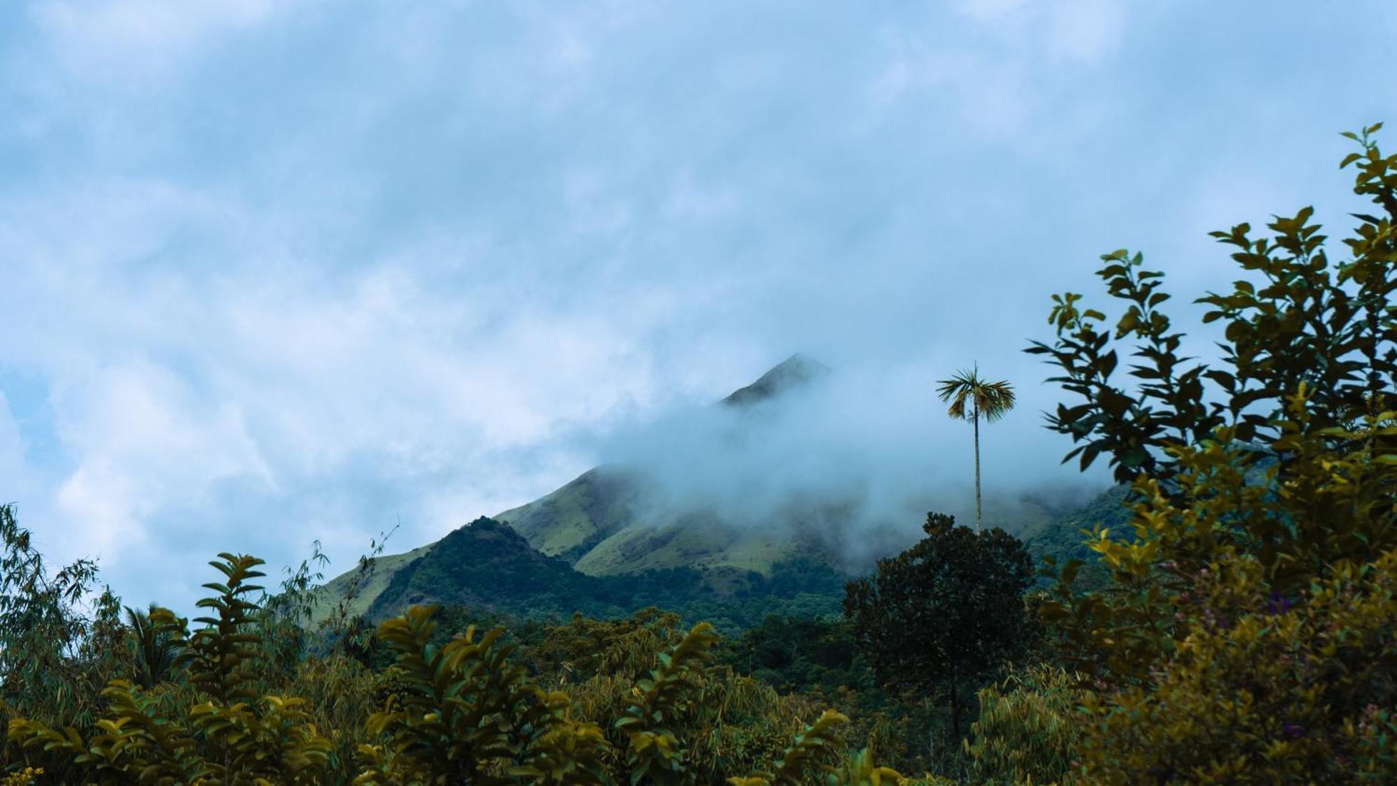 Vythiri Holiday Resort, Wayanad Esterno foto
