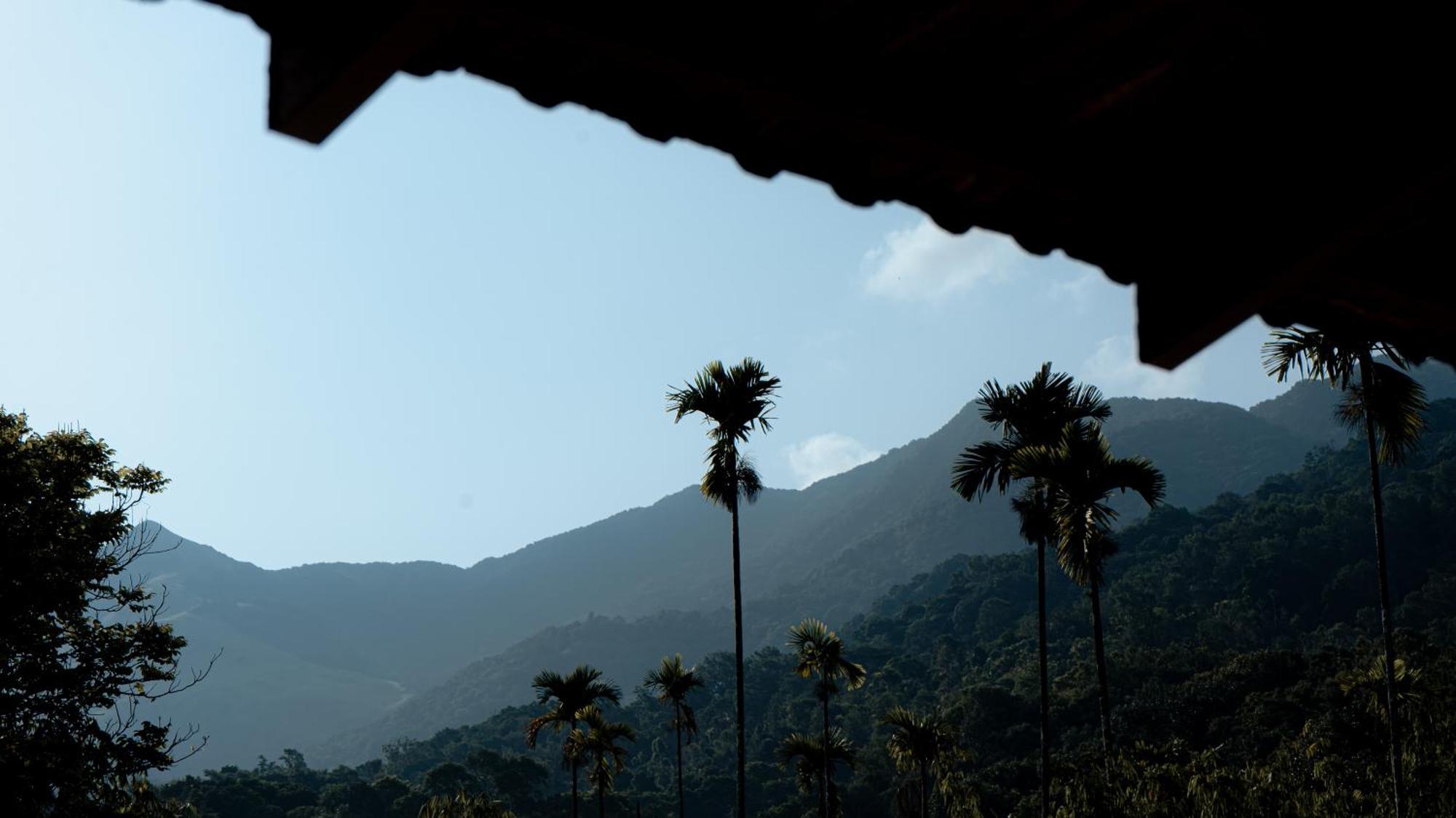 Vythiri Holiday Resort, Wayanad Esterno foto