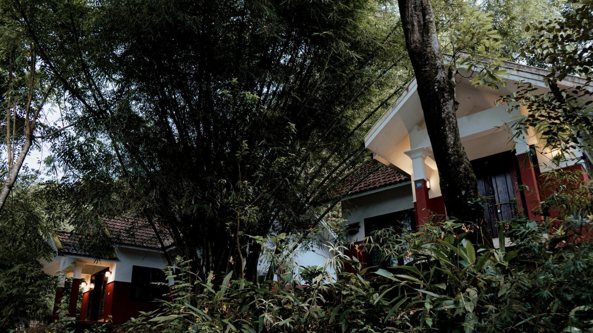 Vythiri Holiday Resort, Wayanad Esterno foto